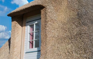Draethen thatch roof disadvantages